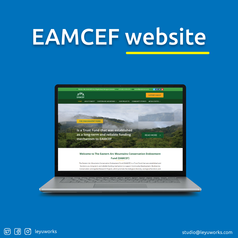 No Fluff, No Friction: Websites That Just Work