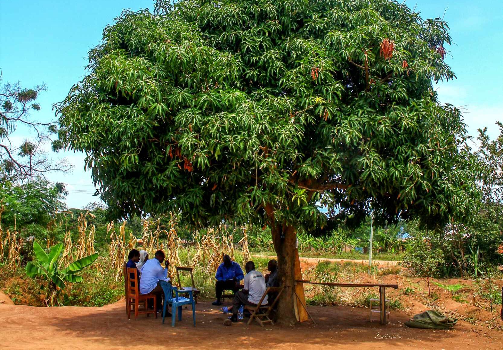 Visualizing Conservation Impact (TaFF)