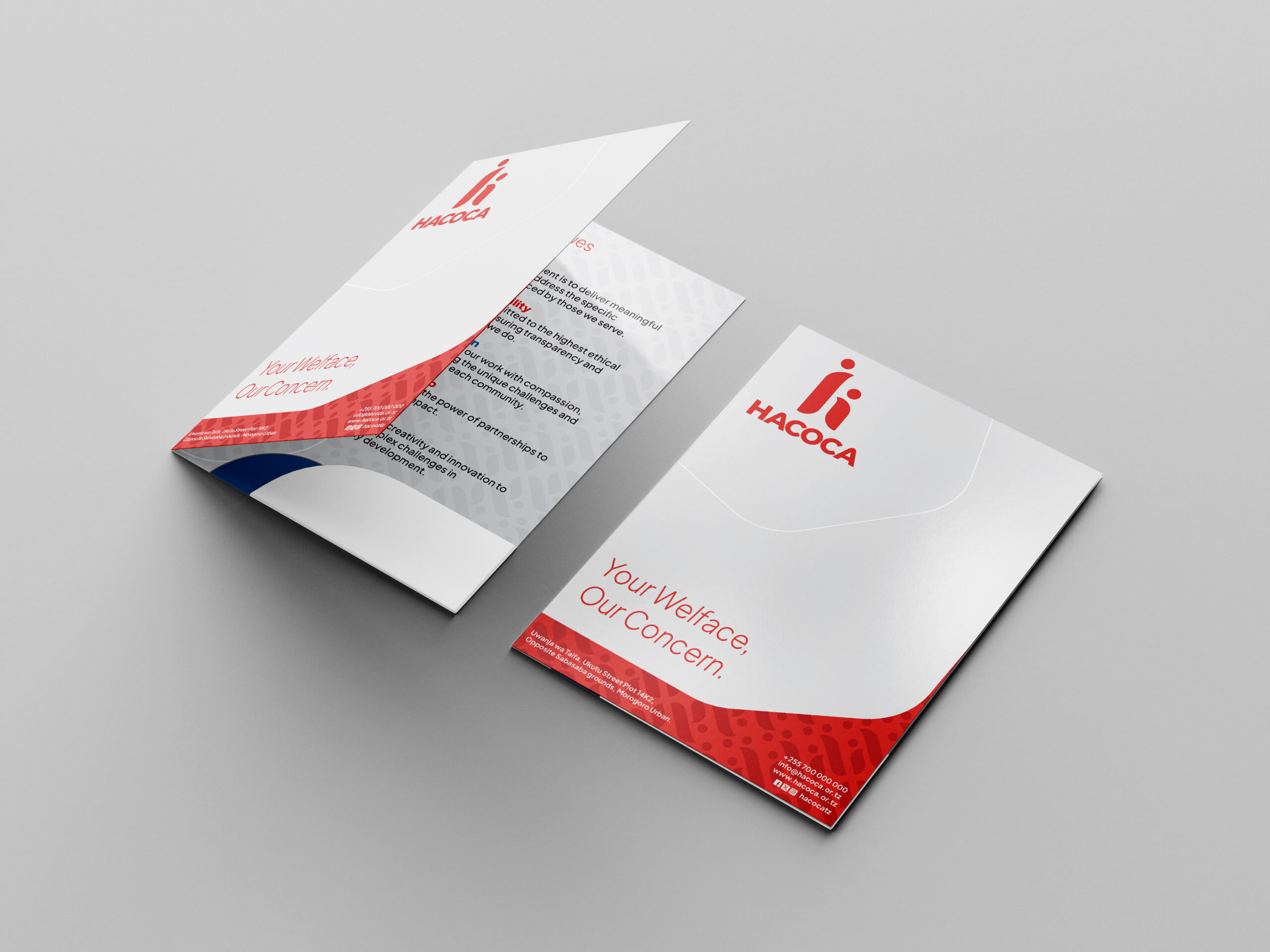 Strategic Brand Identity Development: Codifying the HACOCA Mission